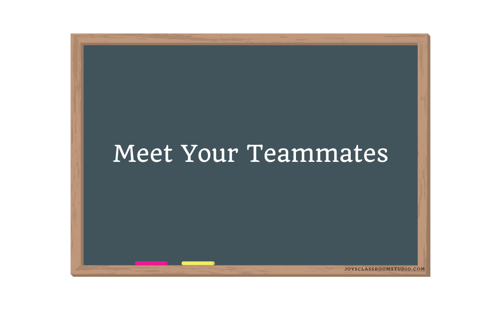 Meet Your Teammates